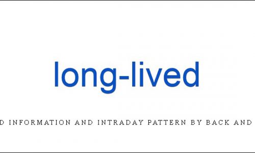 Longlived Information and Intraday Pattern by Back and Andersen