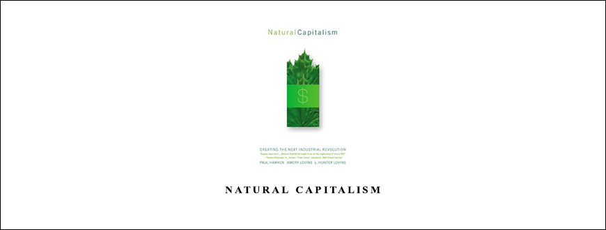 Natural Capitalism by Paul Hawken