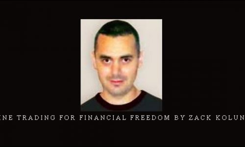 Online Trading For Financial Freedom by Zack Kolundzic