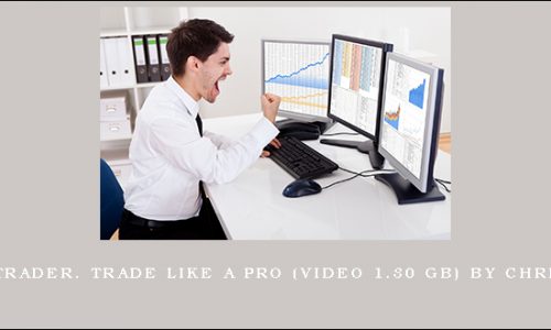 Pro Online Trader. Trade Like a Pro (Video 1.30 GB) by Chris D’Ambra