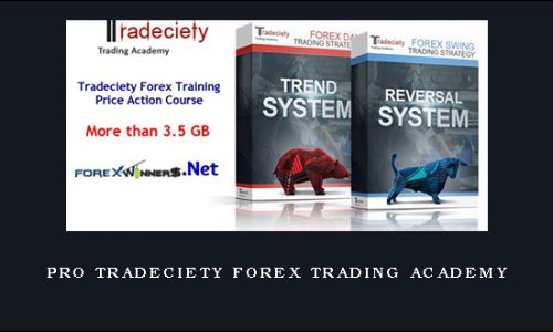 Pro Tradeciety FOREX TRADING ACADEMY