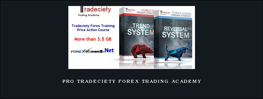 Pro Tradeciety FOREX TRADING ACADEMY