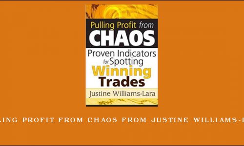 Pulling Profit from Chaos from Justine Williams-lara