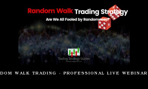 Random Walk Trading – Professional Live Webinar VIX