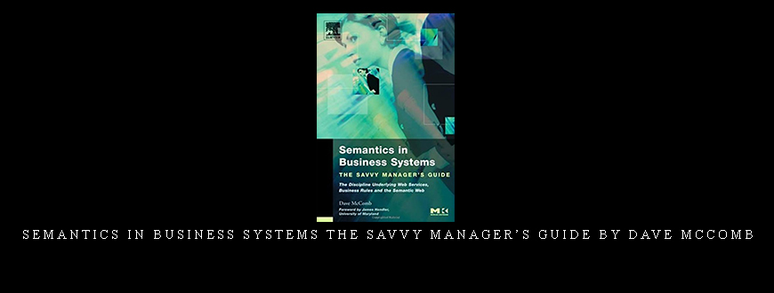 Semantics in Business Systems The Savvy Manager’s Guide by Dave McComb