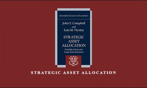 Strategic Asset Allocation by John Y.Cambell, Luis M.Viceira