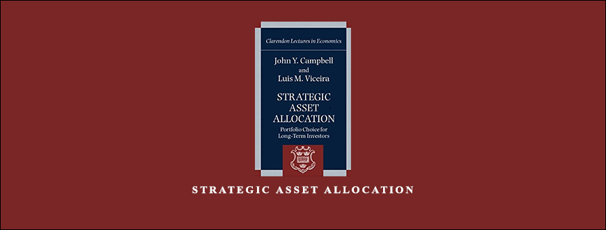 Strategic Asset Allocation by John Y.Cambell Luis M.Viceira