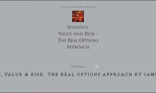 Strategy, Value & Risk. The Real Options Approach by Jamie Rogers