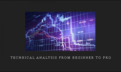 Technical Analysis From Beginner To Pro by Egill Bjorgvinsson