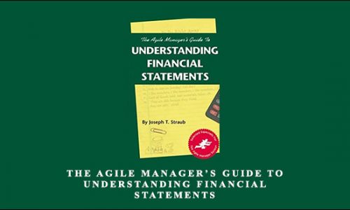 The Agile Manager’s Guide to Understanding Financial Statements by Joseph T.Straub