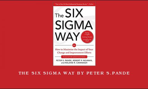 The Six Sigma Way by Peter S.Pande