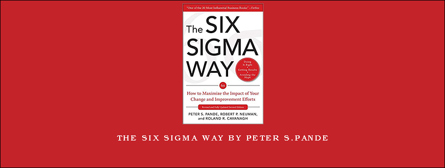 The Six Sigma Way by Peter S.Pande