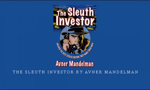 The Sleuth Investor by Avner Mandelman