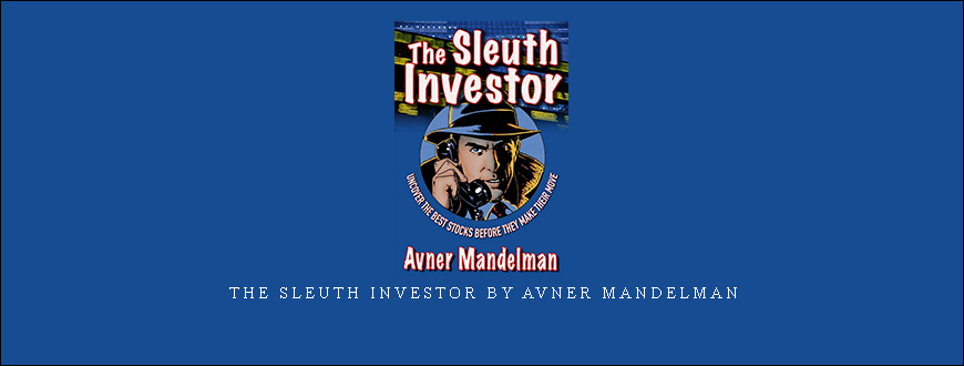 The Sleuth Investor by Avner Mandelman