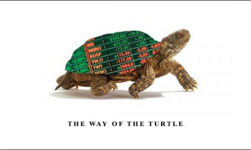 The Way of the Turtle by Curtis M.Faith