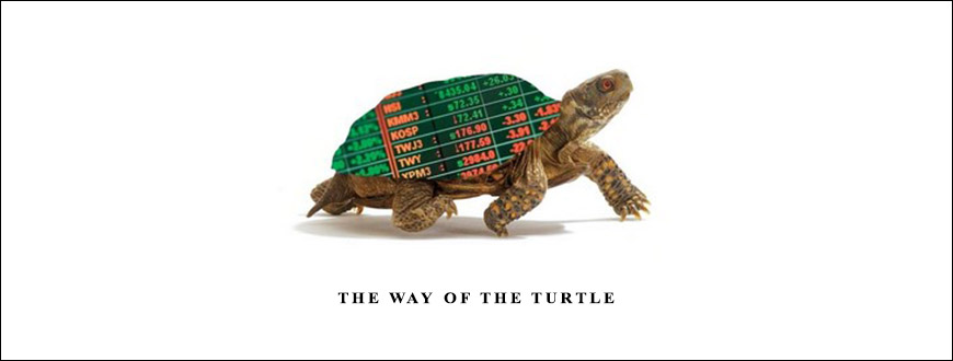 The Way of the Turtle by Curtis M.Faith