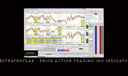 Thestrategylab – Price Action Trading (no indicators)