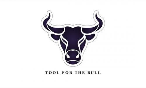 Tool for the Bull by Charles J.Caes