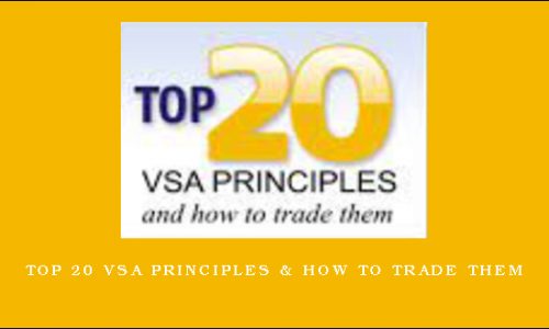 Top 20 VSA Principles & How to Trade Them