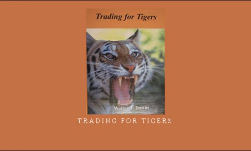 Trading for Tigers by Walter T.Downs