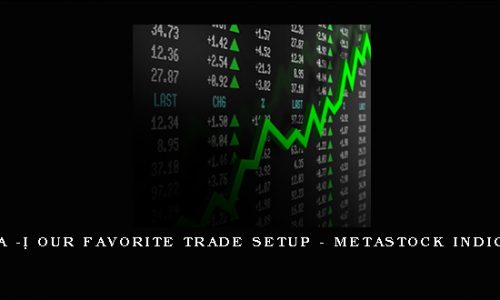 Vince Vora – Our Favorite Trade Setup – MetaStock Indicator Only