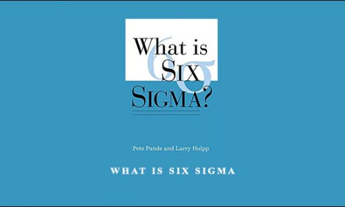 What is Six Sigma by Peter Pande