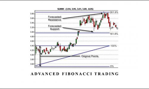 Advanced Fibonacci Trading by Neal Hughes