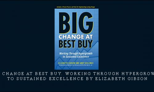 Big Change at Best Buy. Working Through Hypergrowth to Sustained Excellence by Elizabeth Gibson