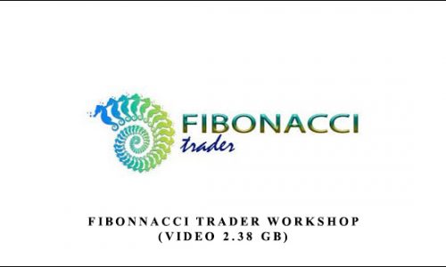 Fibonnacci Trader WorkShop (Video 2.38 GB) by Dennis Bolze, Thom Hartle