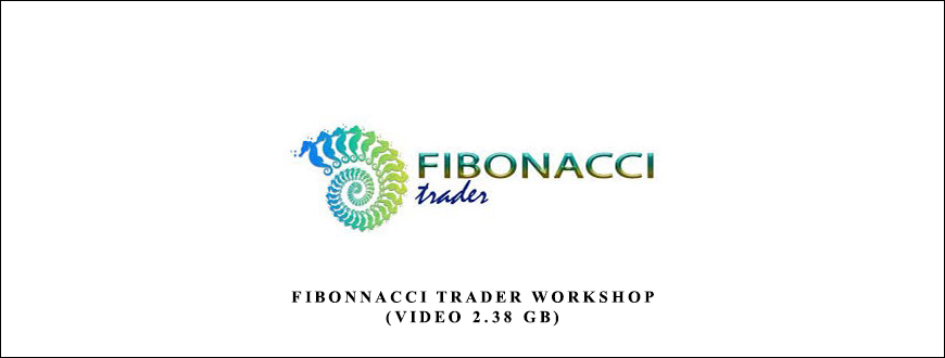 Fibonnacci Trader WorkShop (Video 2.38 GB) by Dennis Bolze, Thom Hartle