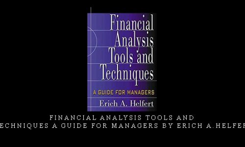 Financial Analysis Tools and Techniques a Guide for Managers by Erich A.Helfert