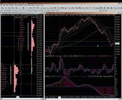 BalanceTrader II - For Advanced Traders by Frank Buttera