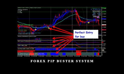 Forex Pip Buster System