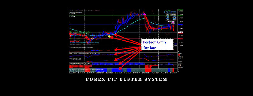 Forex Pip Buster System