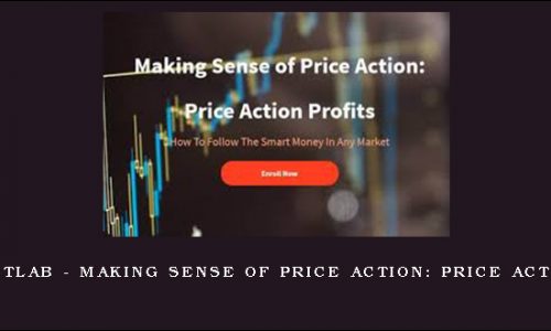 Infoproductlab – Making Sense of Price Action: Price Action Profits