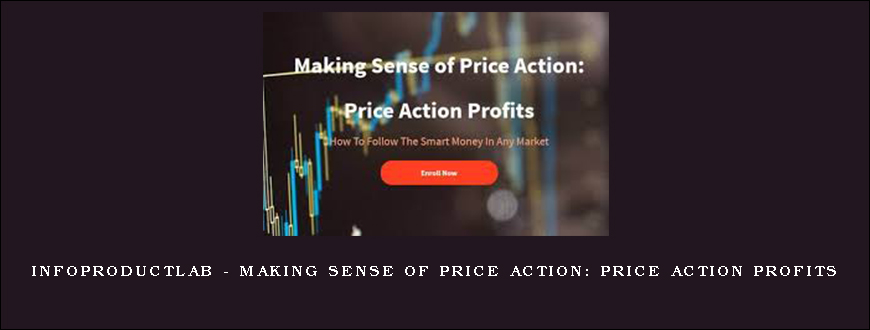 Infoproductlab – Making Sense of Price Action Price Action Profits