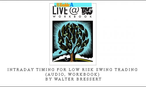 Intraday Timing for Low Risk Swing Trading (Audio, WorkBook) by Walter Bressert