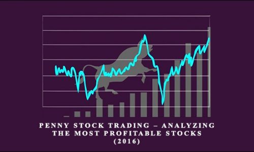 Penny Stock Trading – Analyzing the Most Profitable Stocks (2016) by Mubarak Shah