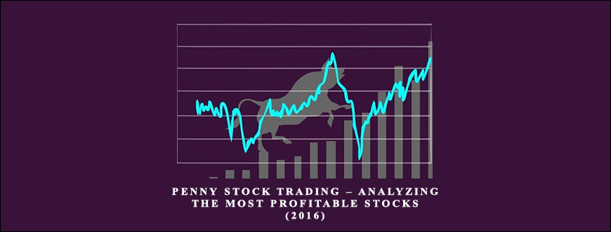 Penny Stock Trading – Analyzing the Most Profitable Stocks (2016) by Mubarak Shah