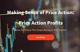 Making Sense of Price Action Price Action Profits