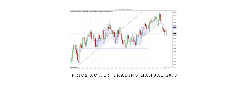 Price Action Trading Manual 2010