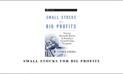 Small Stocks for Big Profits by George Angell