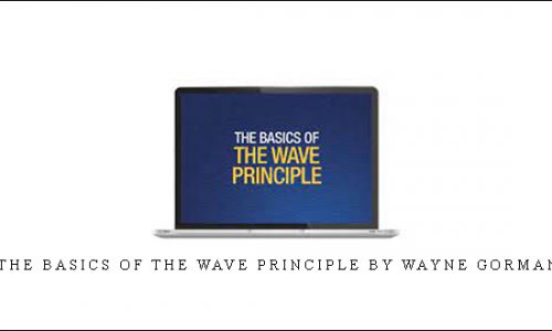 The Basics of the Wave Principle by Wayne Gorman