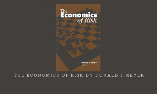 The Economics of Risk by Donald J.Meyer