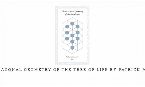 The Hexagonal Geometry of the Tree of Life by Patrick Mulcahy