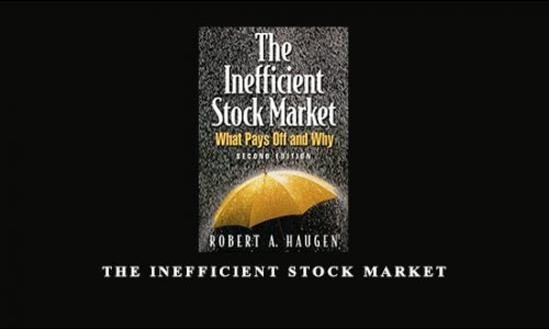 The Inefficient Stock Market by Robert A.Haugen