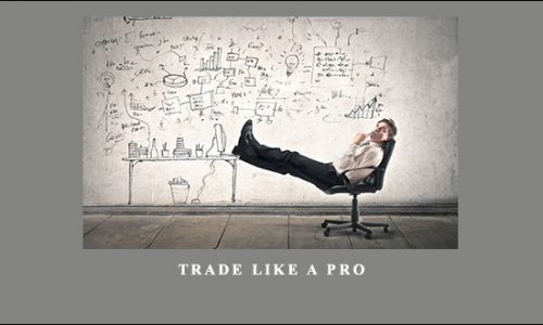 Trade Like a Pro by Gary Witt