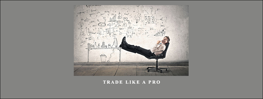 Trade Like a Pro by Gary Witt