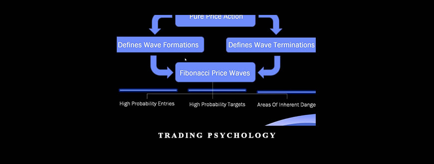 Trading Psychology by Barry Burns