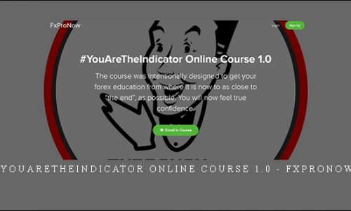 YouAreTheIndicator Online Course 1.0 – FXProNow